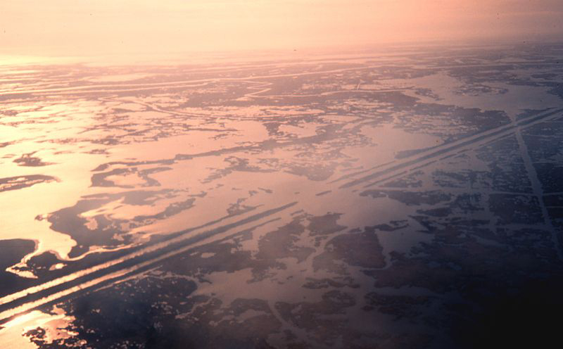 Oil service canals in the Barataria Basin show the ravages of an industry that has given much to Louisiana and taken even more.