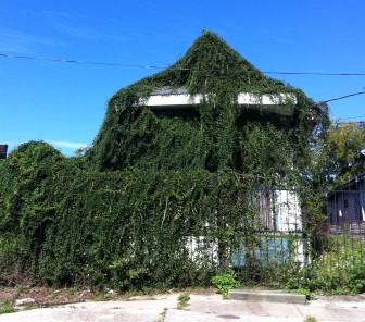 This abandoned property in Hoffman Triangle could get a second chance at being inhabited if the city auctions it off.