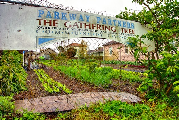 A Gert Town garden is one of many that have sprouted under the banner of Parkway Partners.  