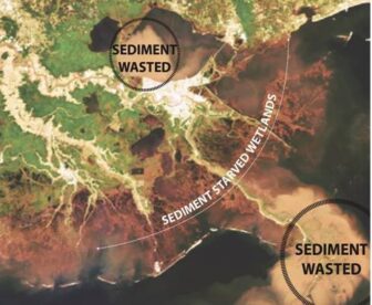 The satellite image shows plumes of lost sediment that can only be recaptured by using the river to flood starved wetlands.
