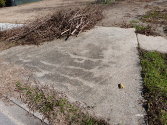 This property at 5741 Wildair Drive was a dirt lot last winter, with some overgrowth around the edges.