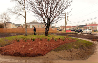 EPA administrator Gina McCarthy, regional administrator Ron Curry and Mayor Mitch Landrieu were on hand at the dedication of the NORA rain garden in Gentilly on Feb. 6. The purpose of the garden is to collect hundreds of gallons of rain water and let it gradually find its way into the city drainage system,  mitigating flooding and reducing subsidence. There are other rain gardens planned throughout the city.