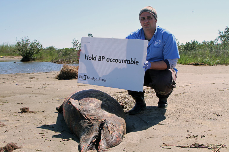 Environmental crusader Jonathan Henderson, here at Barataria Bay, was appalled to see — and hear — dying dolphins gasp for air in the aftermath of the BP oil spill.