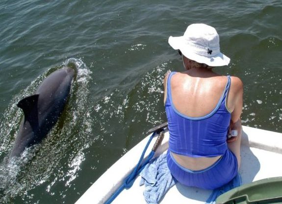 Bottlenose dolphins have long been friendly companions for boaters in Barataria Bay but they could be a big problem for the state's plan to use river diversions to rebuild the coast. 