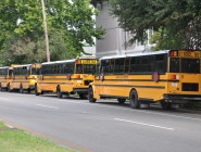 Buses line up at John Dibert Community School near City Park.
