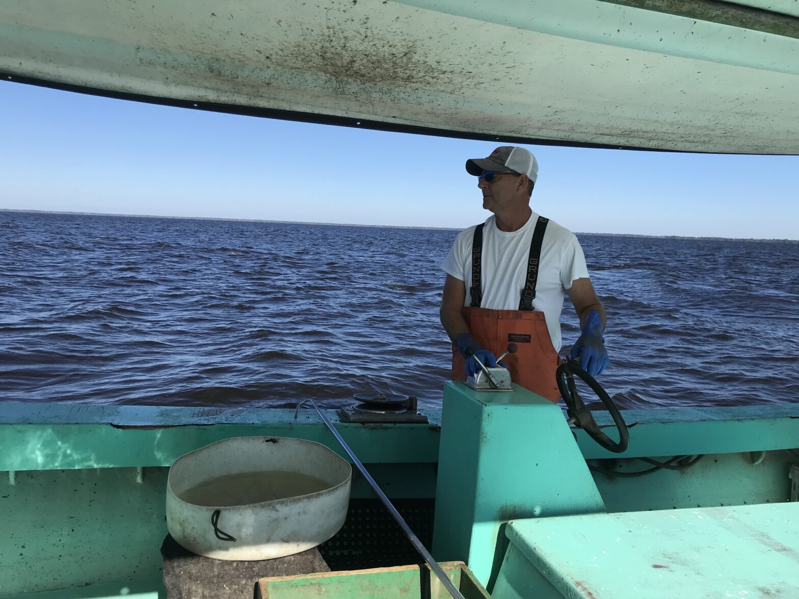 ‘Blue hydrogen’ project threatens fragile, valuable ecosystem of Lake Maurepas, residents fear