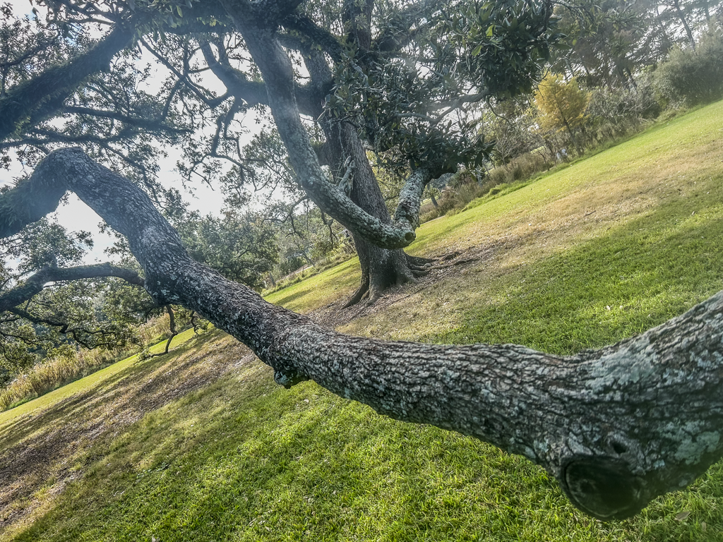 When the land sickens: the public health cost of environmental rollbacks