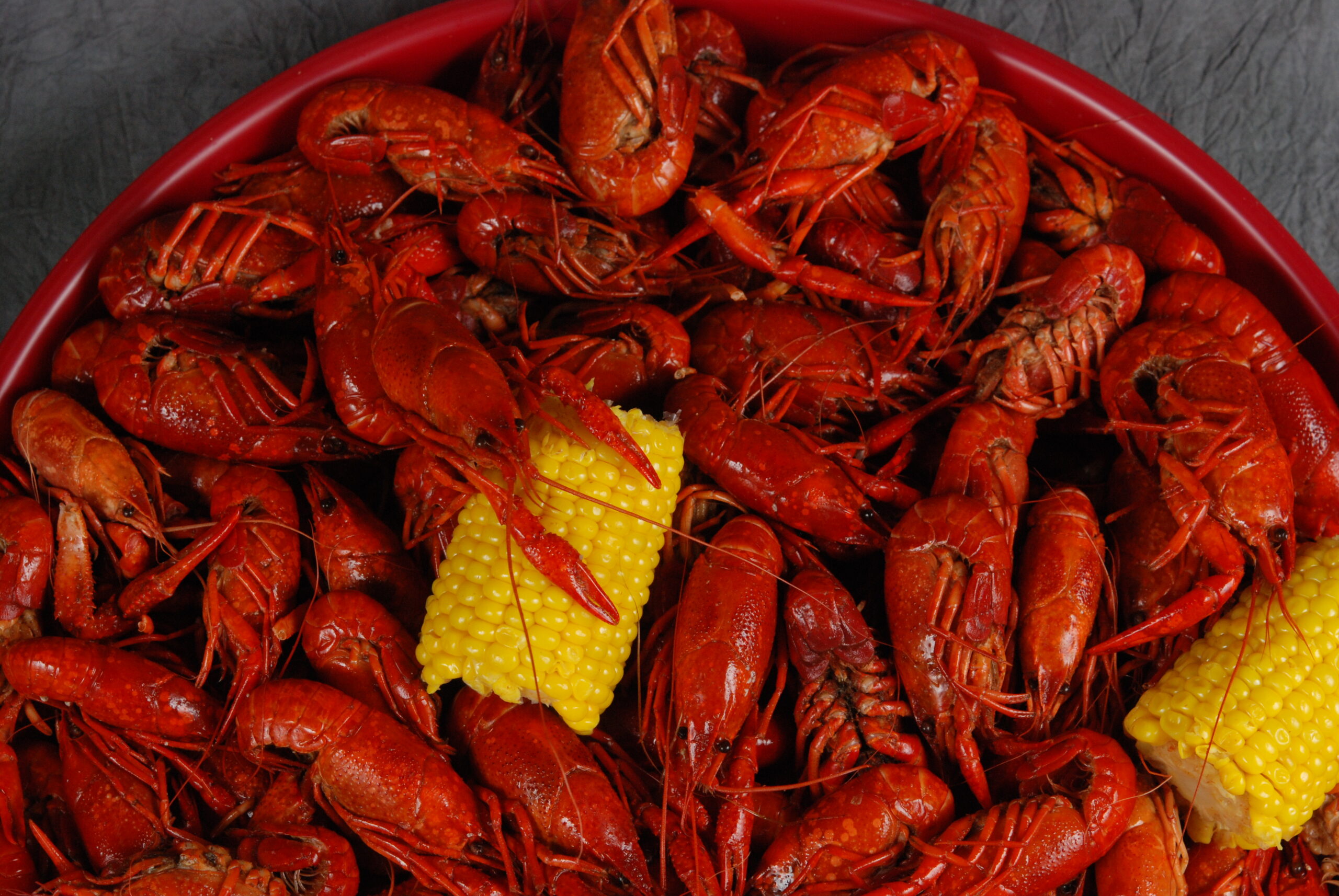 Louisiana crawfish industry struggles with limited foreign workers, ag commissioner says