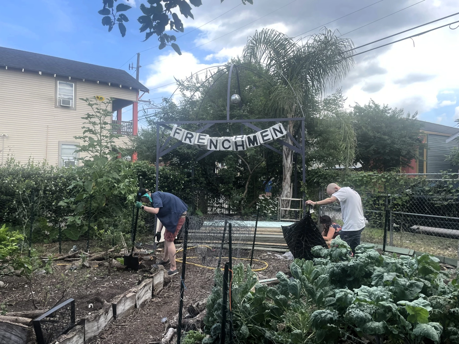 Urban farmers in New Orleans are turning to social media, public support after losing their land