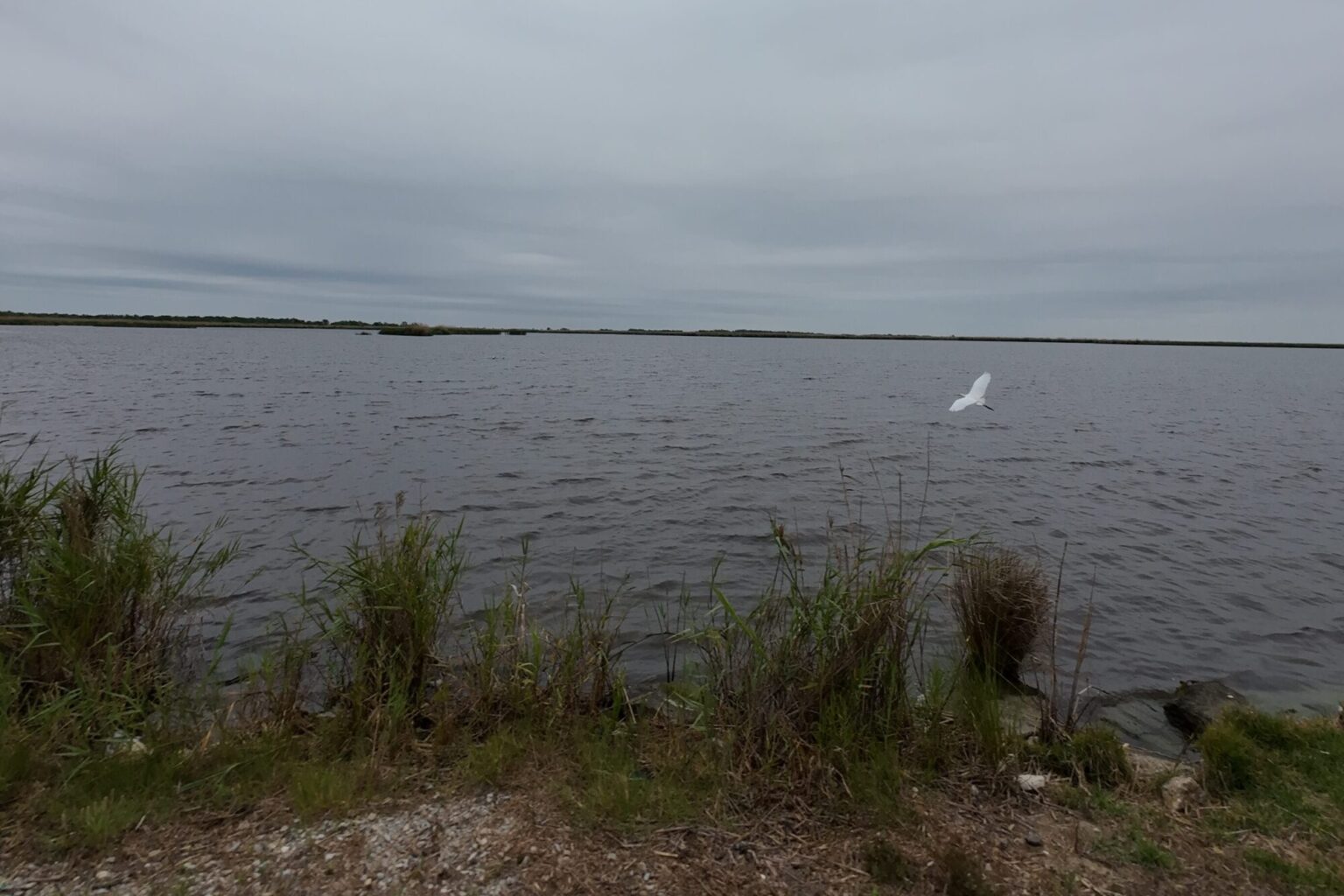 As SpaceX rumors circulate in coastal Louisiana, so do worries of losing generational land